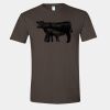 Softstyle® T-Shirt ss Thumbnail